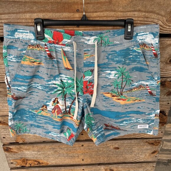 Banks Journal Mens Sz 38 Blue Board 5" Shorts Surf Short Trunks - Picture 1 of 9